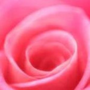 Meet your Posher, Eunice